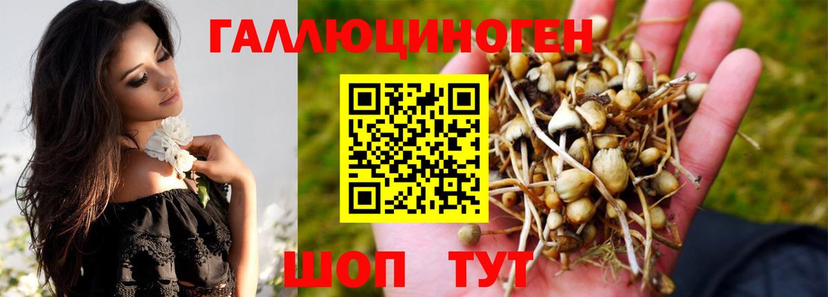 закладка  Галлюциногенные грибы прущие грибы  Вход с VPN  Краснокаменск 
